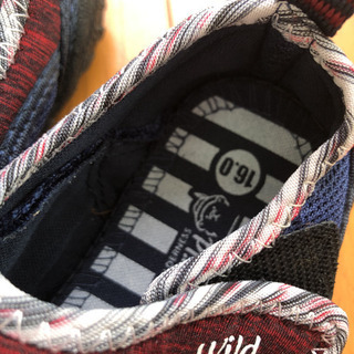 海、川、プールにの画像