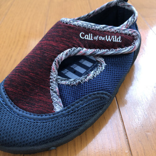 海、川、プールにの画像