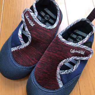 海、川、プールにの画像