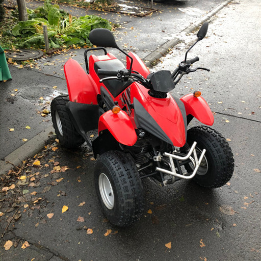 バギー　デザートキャット　絶好調♪