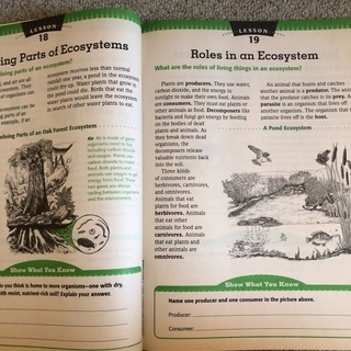 Comprehensive science assessment grade 4の画像