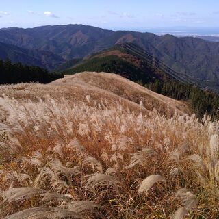 【登山セラピー】健康のために登山・トレッキングを考えている方必見！