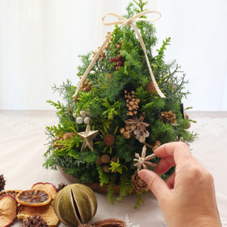  Xmas リース&卓上ツリー　workshop @新高円寺の画像