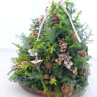  Xmas リース&卓上ツリー　workshop @新高円寺の画像
