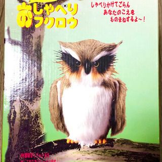 おしゃべりフクロウ 声をモノマネするよの画像