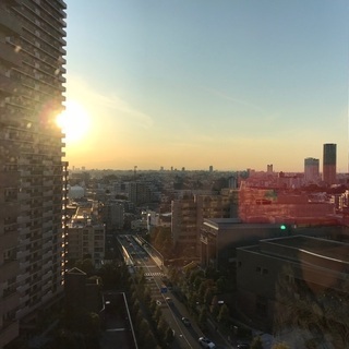 【急募】本日11/19日夕方まで限定、秋葉原にて