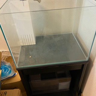 オーバーフロー水槽 60cmワイド