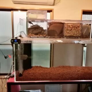 【東京都引き取り限定！】使用三ヶ月ピカピカ極上！超大型上部ろ過層付き！1200×600×600 アクリル水槽フルセット！の画像