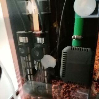 【東京都引き取り限定！】使用三ヶ月ピカピカ極上！超大型上部ろ過層付き！1200×600×600 アクリル水槽フルセット！の画像