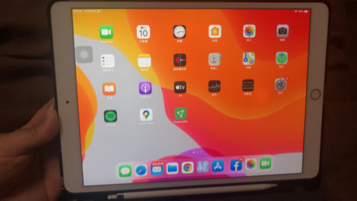 iPad Pro 10.5 256GB Cellular simフリー済み