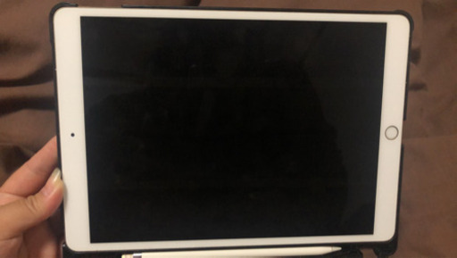 iPad Pro 10.5 256GB Cellular simフリー済み