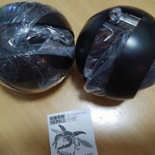 ギラファノコギリクワガタ2個セットです(^_^)