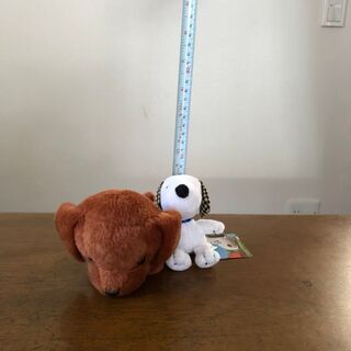 ぬいぐるみの画像