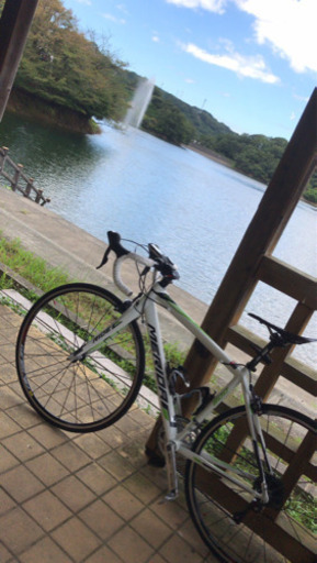 ロードバイク　幾らなら検討しますか？