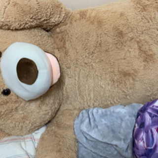 コストコのクマさんの画像