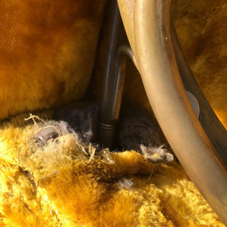 ホルンのケース　保管用　移動用の画像