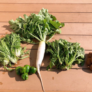 【無農薬新鮮】野菜 お譲りしますの画像