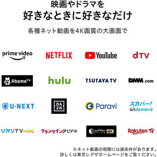 55M530X 液晶テレビ REGZA レグザ　①の画像