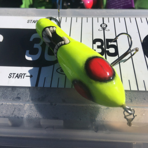 ヴァンパイアスネークドック