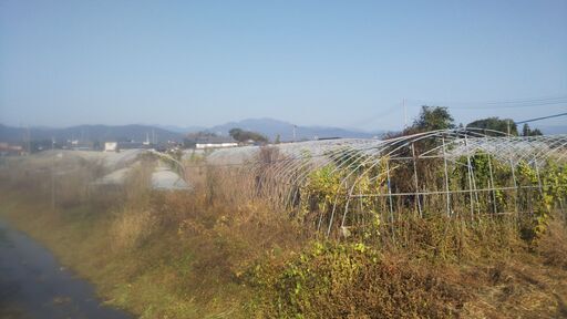 ビニールハウスパイプ 中古 １００m超/他 現地にて解体&取りに来れる方 ★2t駐車可･公衆ﾄｲﾚ横に有