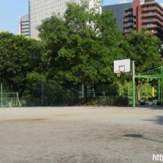 格闘技トレーナー(出張型)の画像