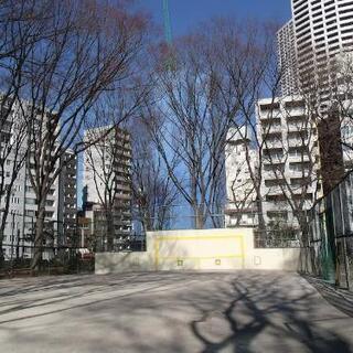 格闘技トレーナー(出張型)の画像
