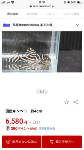 キンペコ、水槽台、水槽セット