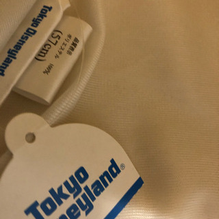 ディズニーランドの帽子の画像