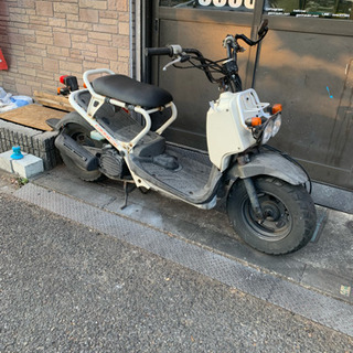 ズーマー 白 激安‼️