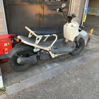 ズーマー 白 激安‼️の画像
