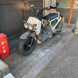 ズーマー 白 激安‼️の画像