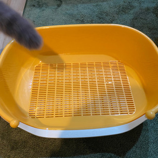 にゃんとも子猫用　0円