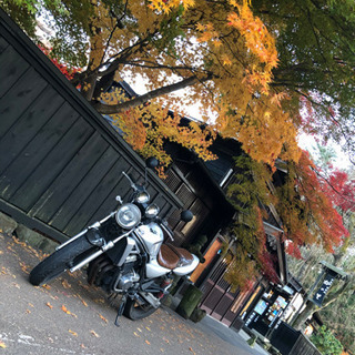 GSX250fx バリオスⅡ 人気車両 最終値下げの画像