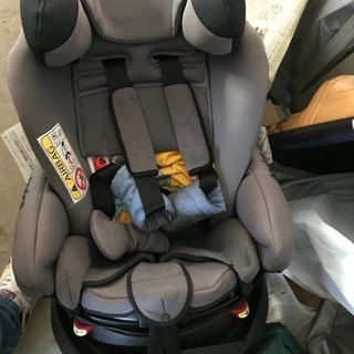 ｱｯﾌﾟﾘｶ ﾌﾗﾃﾞｨｱｸﾞﾛｳ ﾁｬｲﾙﾄﾞｼｰﾄ