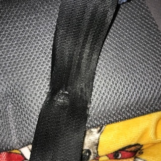 ｱｯﾌﾟﾘｶ ﾌﾗﾃﾞｨｱｸﾞﾛｳ ﾁｬｲﾙﾄﾞｼｰﾄの画像