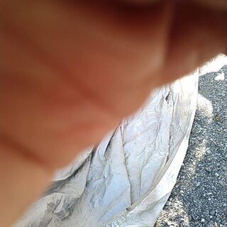 車のカバーの画像