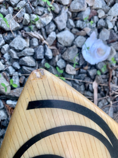 surf board 