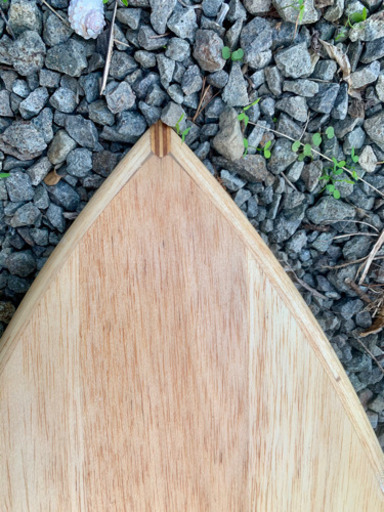 自転車 surfboard sunova