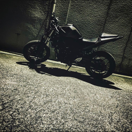 YZF-R25 (レースベース仕様)