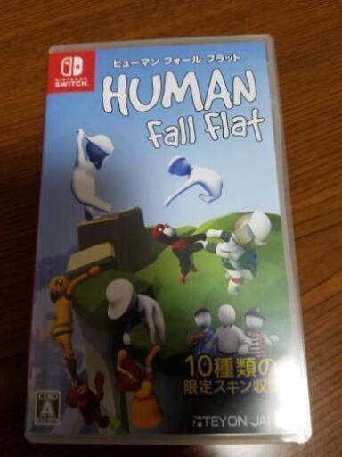Switch スイッチ ヒューマンフォールフラット 中古
