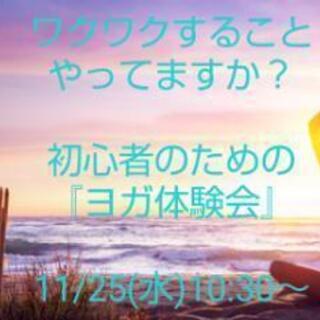 ヨガ初心者体験会～入門編～