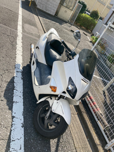 FORZA mf06 ホワイト