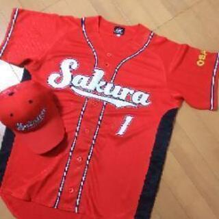 ⚾️ソフトボール/メンバー、マネージャー募集⚾️