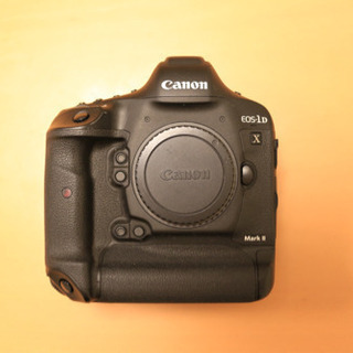 Canon EOS-1D X『シャッター数84,000以下』 Canon EOS-1D X『シャッター数84,000以下』
