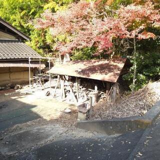 青竹、竹林「門松」「水筒」「竹細工」などにいかがでしょうか！の画像