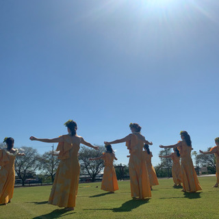日進市フラダンス　カリコオカラニの画像