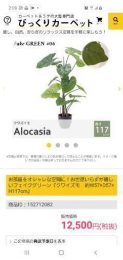 フェイクグリーン