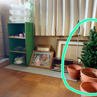 陶器の鉢植え