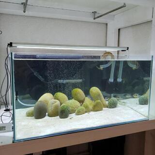 水槽セット