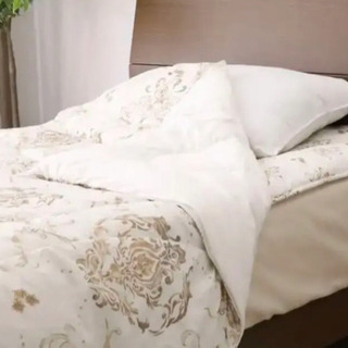 ☆びっくり価格☆＜シングル＞ モリリン 抗菌防臭 ウォッシャブル シルキーダウン肌掛けの画像